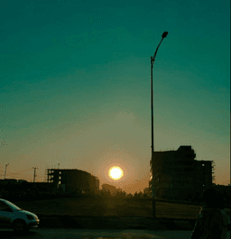 Through the Motions